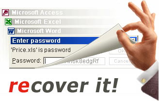 Recover it using our password safecrackers software!